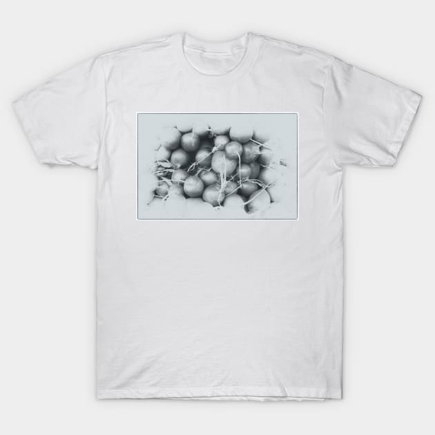 Radishes Artwork 1 T-Shirt by Robert Alsop